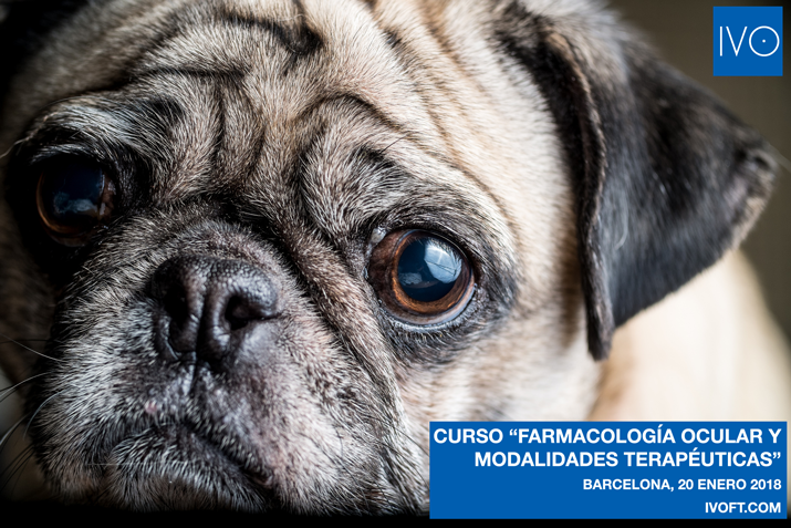 Curso farmacologia ocular IVO 2018