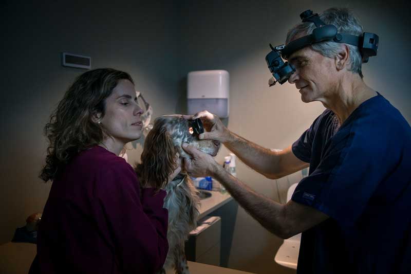 Exploración segmento anterior del ojo con oftalmoscopia indirecta