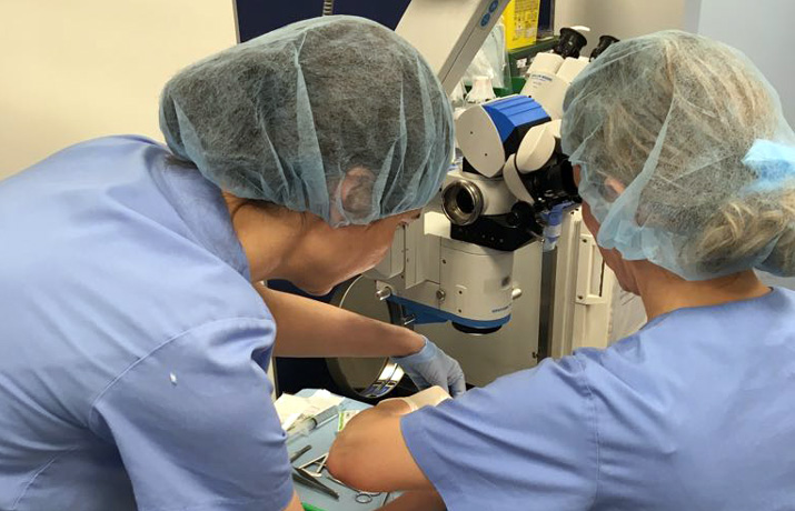 Formación IVO en microcirugía ocular