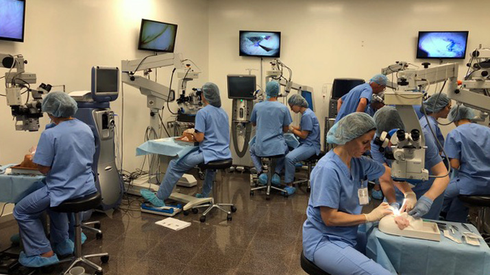 Curso práctico de iniciación a la microcirugía ocular