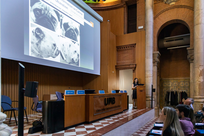 Eva Abarca en el curso IVO sobre córnea y superficie ocular