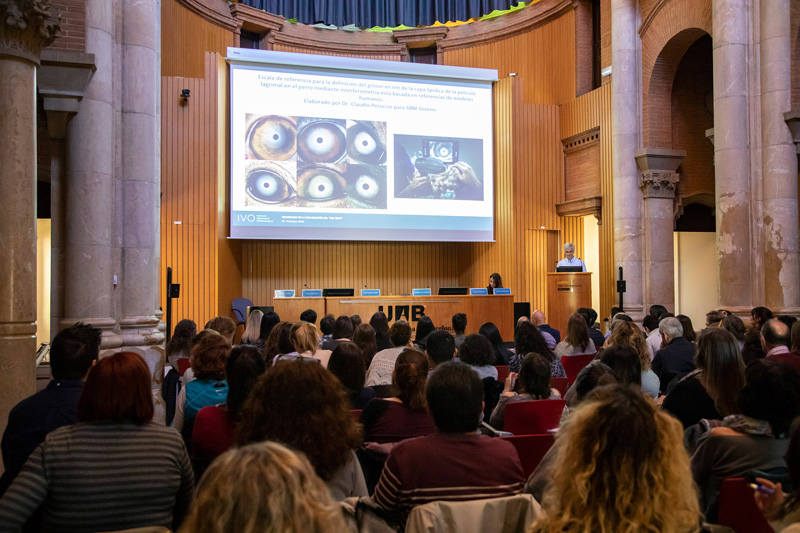 Paco Simó en el curso IVO sobre córnea y superficie ocular