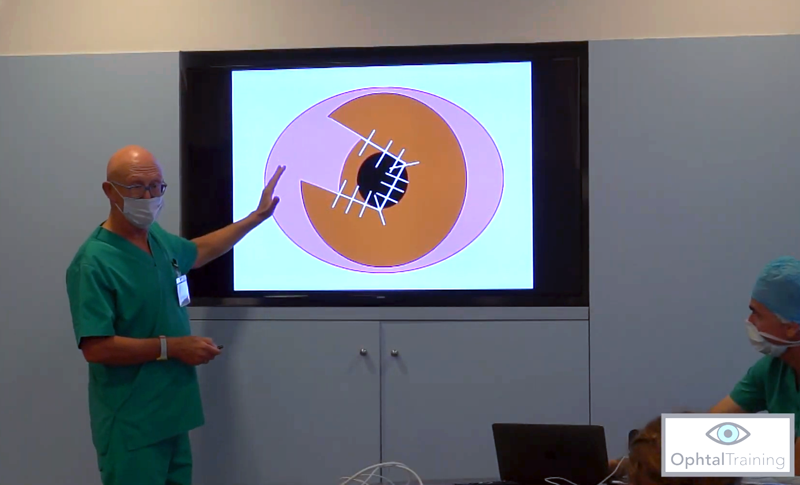 Manuel Villagrasa en una sesión teórica del Curso de Microcirugía Ocular Veterinaria 2020