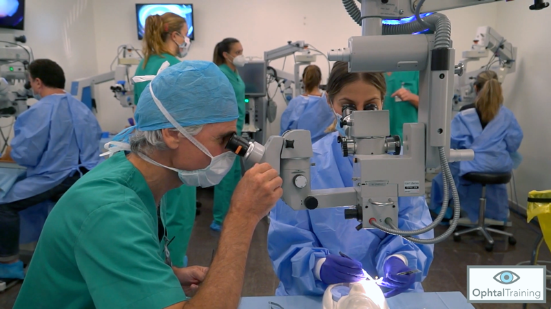 Paco Simo en el Curso de Microcirugia Oftalmológica Veterinaria 2020