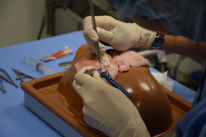 Prácticas de cirugía de párpados