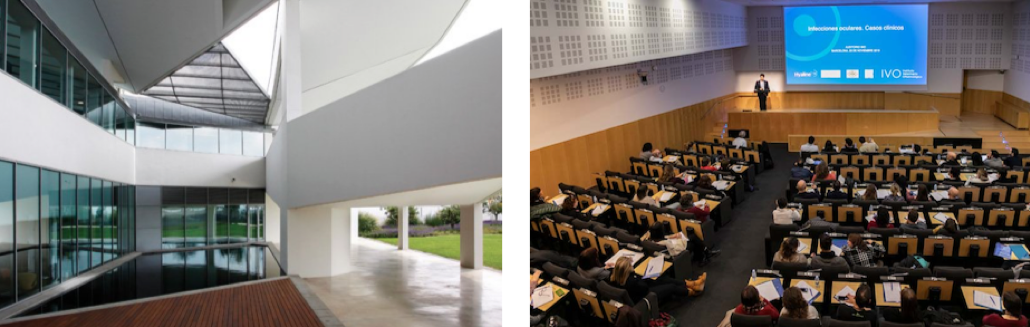 Jornadas IVO en Auditorio IMO