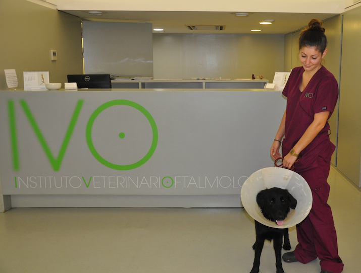 Bourbon-catarata-congenita-facoemulsificacion-despues-cirugia