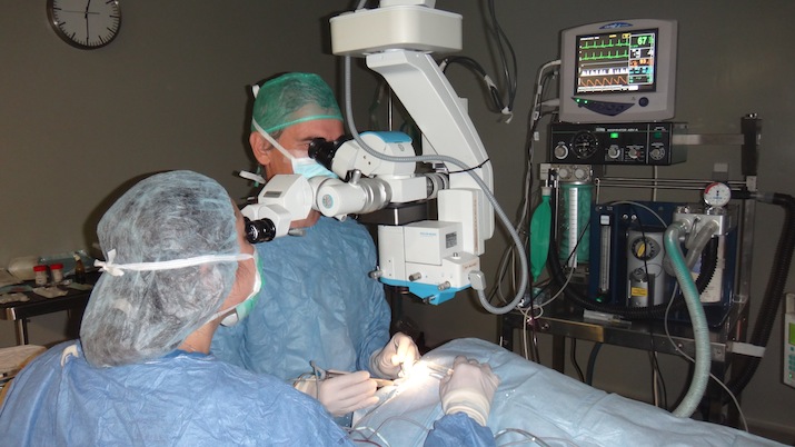 Cirugia-catarata-perro