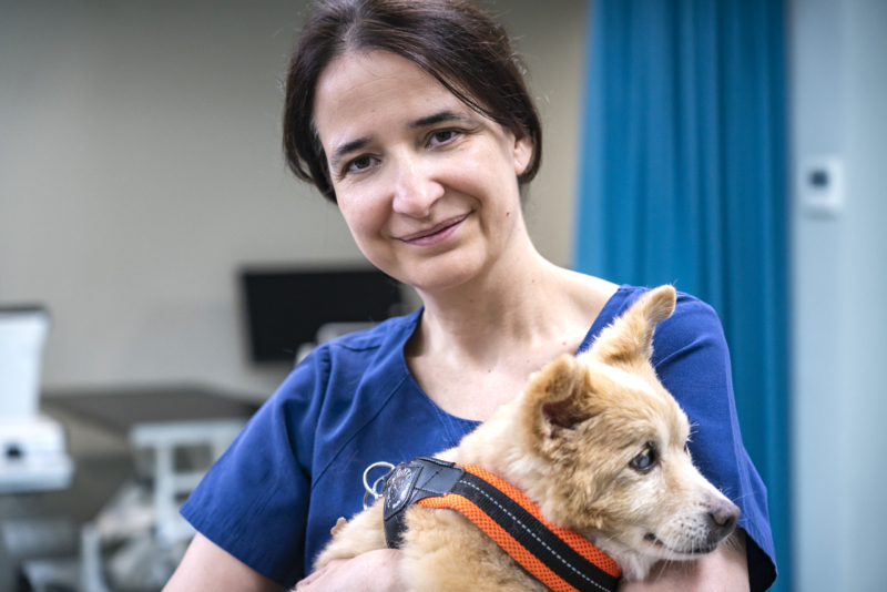 Dra. Abarca vetrinaria oftalmóloga de IVO