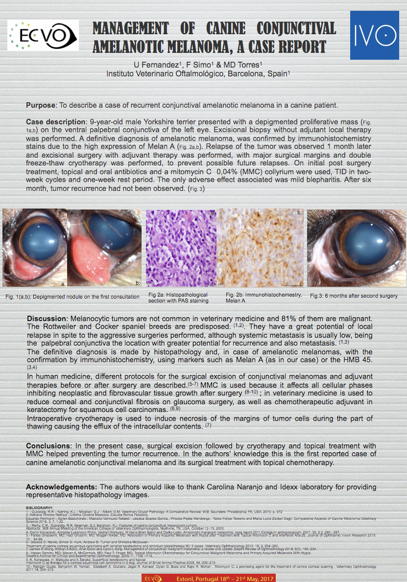 Poster IVO en ECVO 2017