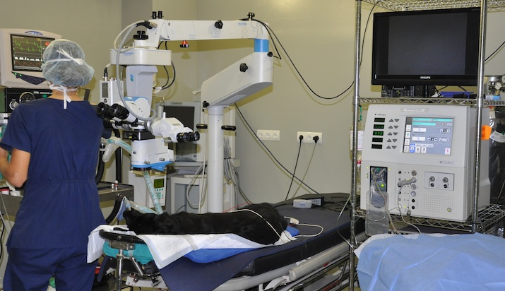 bourbon-catarata-congenita-bilateral-quirofano-facoemulsificacion