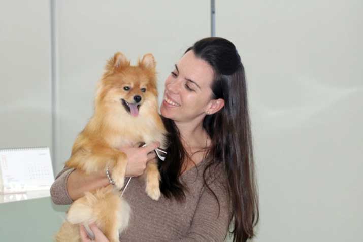 Perro con queratoconjuntivitis seca post cirugía