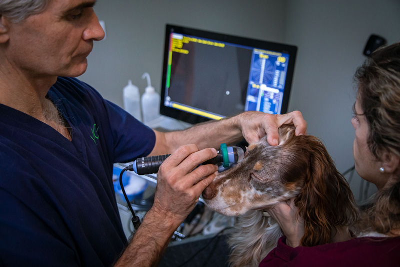 El Dr. Paco Simó realizando una ecografía UBM para evaluar las estructuras oculares de la cámara anterior