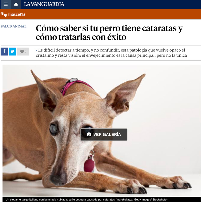 IVO en La Vanguardia