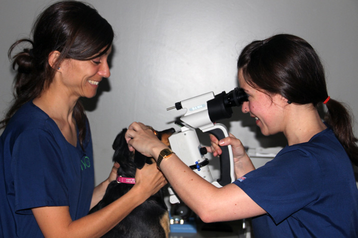 lampara-hendidura-cristina-uxue-Pepis