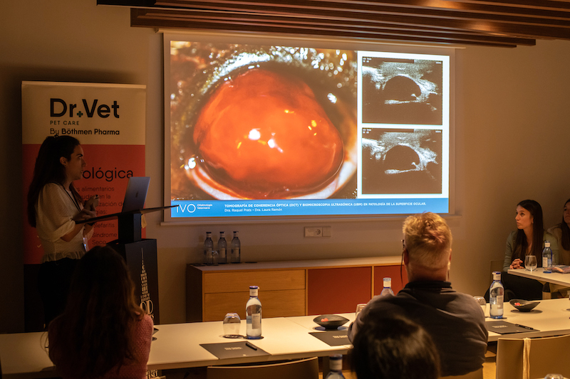 Laura Ramon, oftalmóloga veterinaria