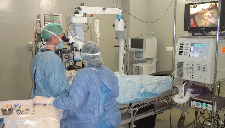 lente-intraocular-catarata-perro