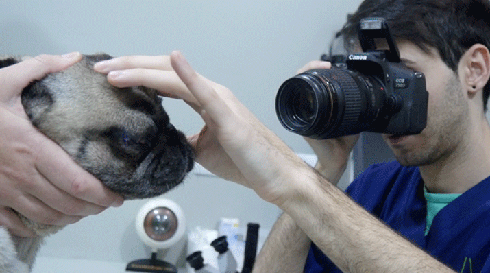 Tomando fotografías de control