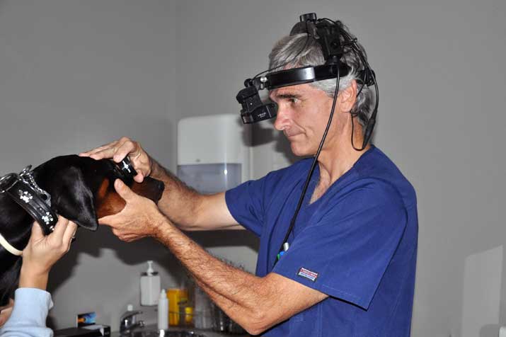 El diagnóstico temprano de cancer ocular puede salvar visión